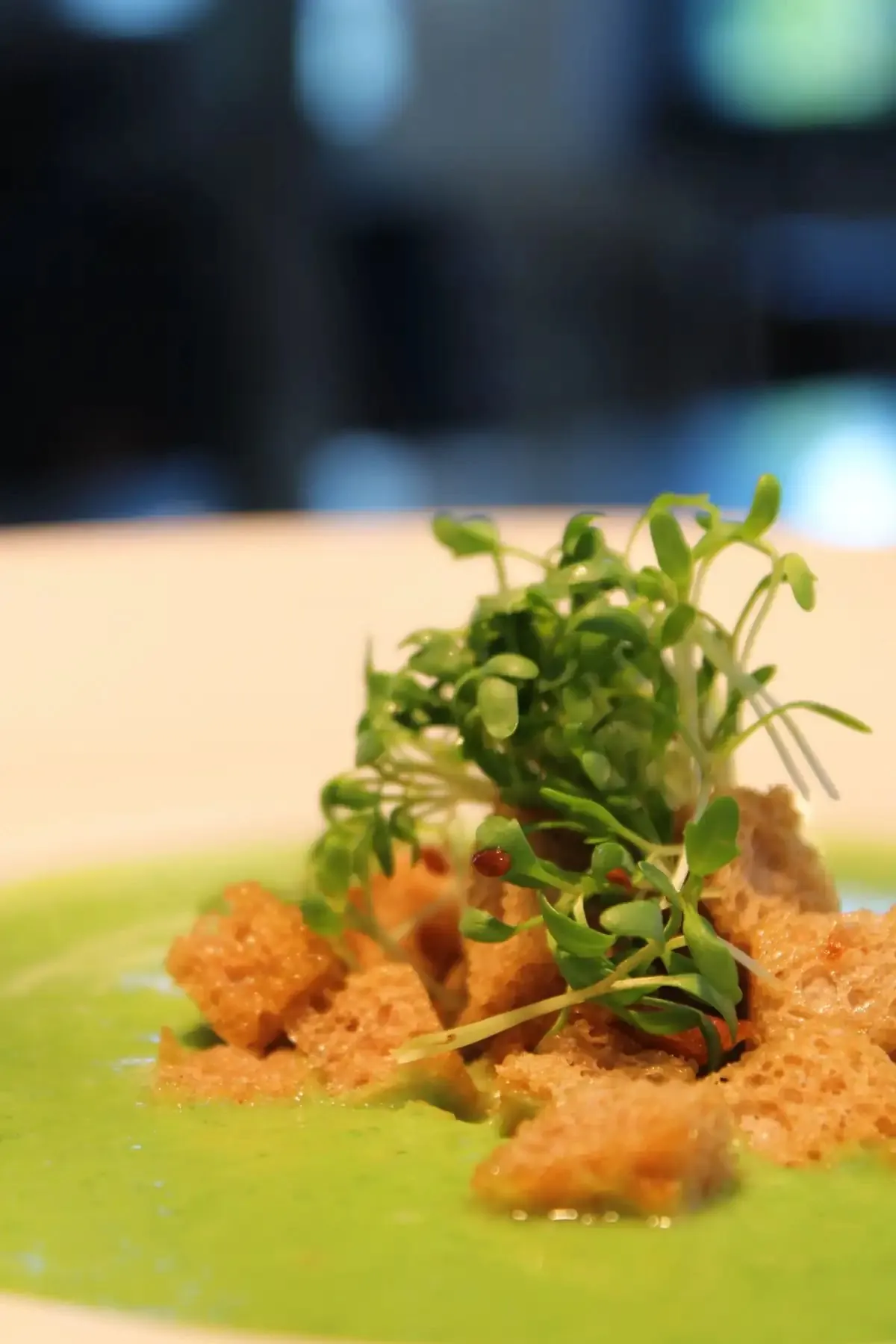 Angerichteter Teller mit Kräutern auf grüner Sauce